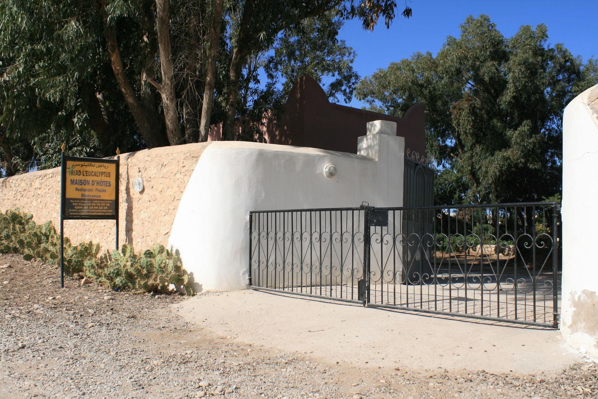 Riad Eucalyptus Essaouira Exterior photo