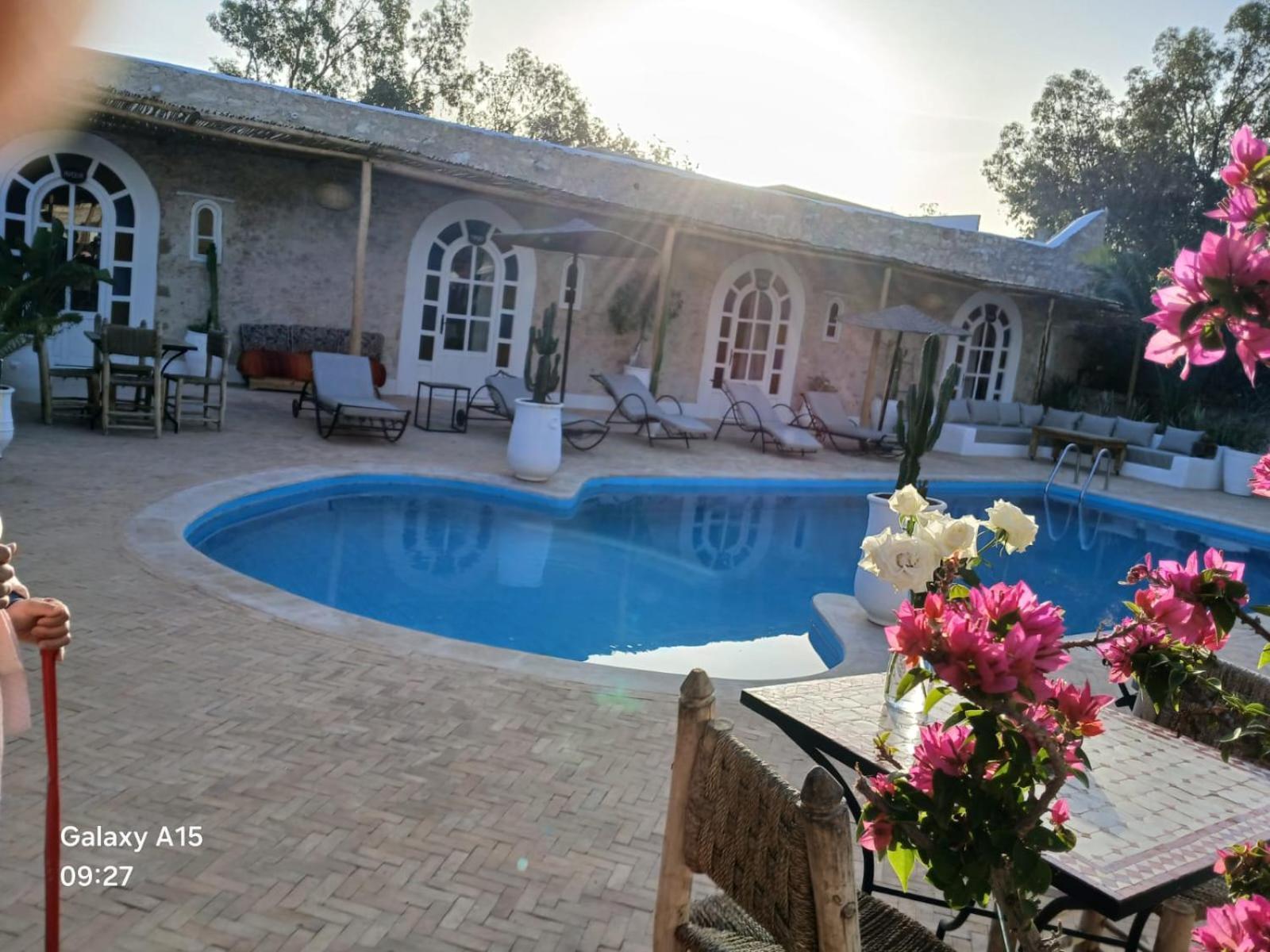 Riad Eucalyptus Essaouira Exterior photo